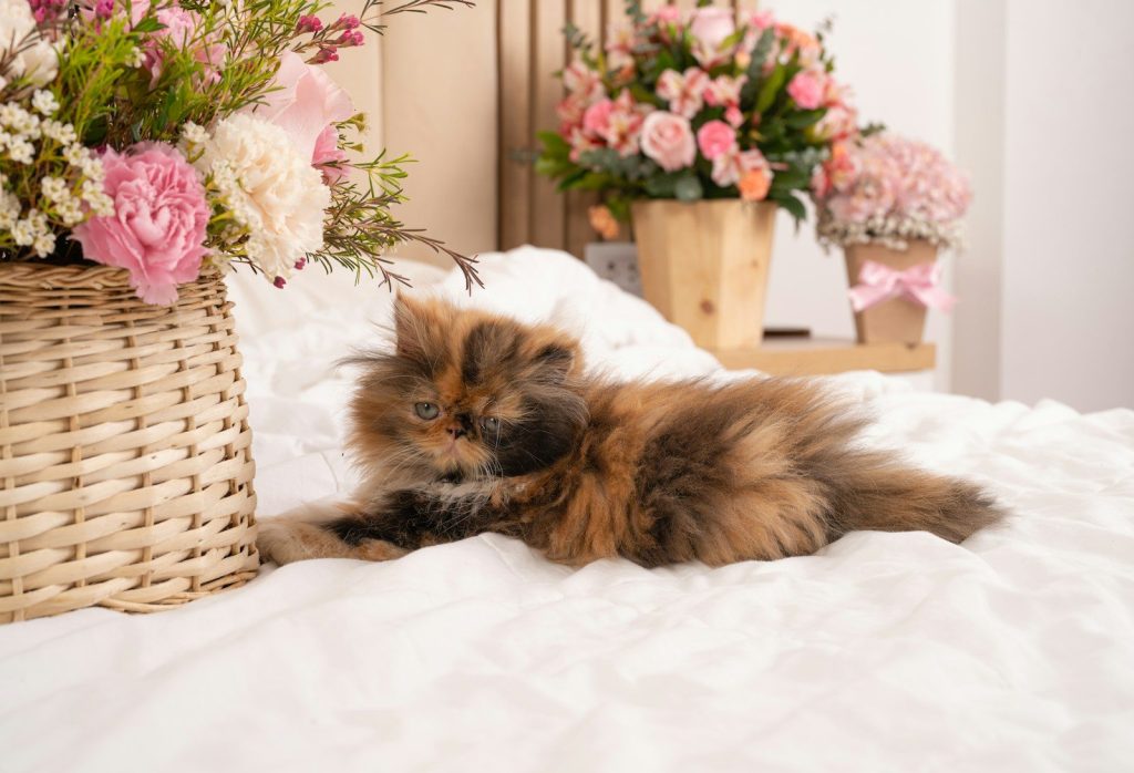 a cat laying on a bed next to a basket of flowers