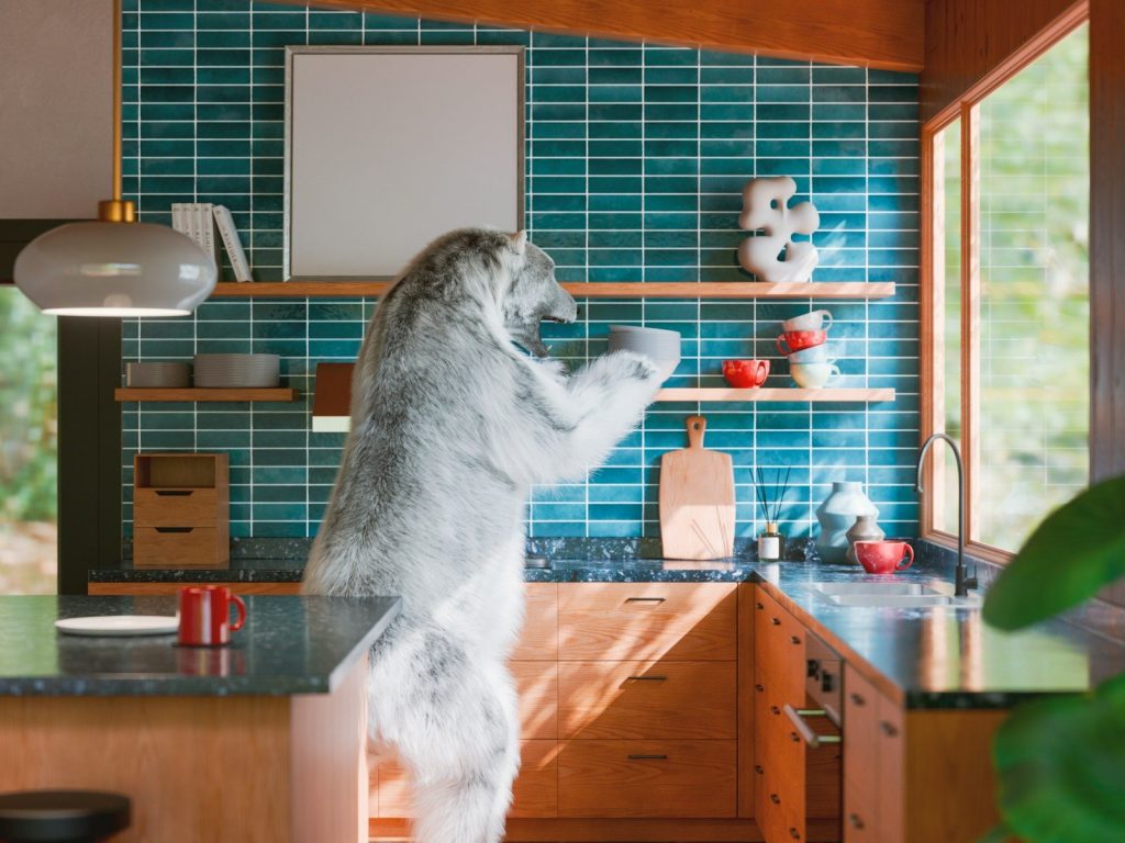 A wolf stands in a modern kitchen reaching for a shelf.