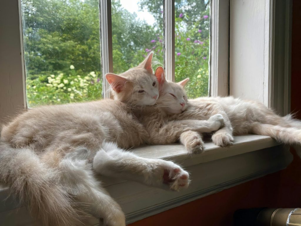 Tater and Tot