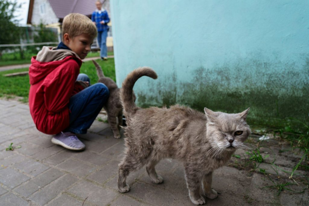 Boy crouching near a fluffy cat outdoors