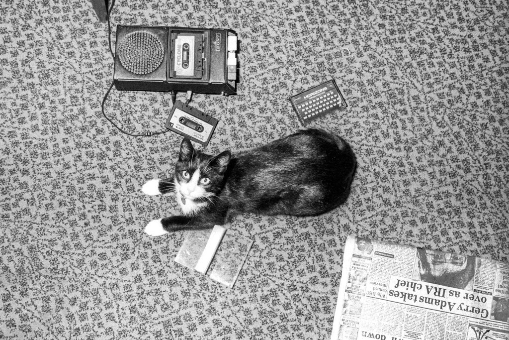 A black and white photo of a cat laying on a couch