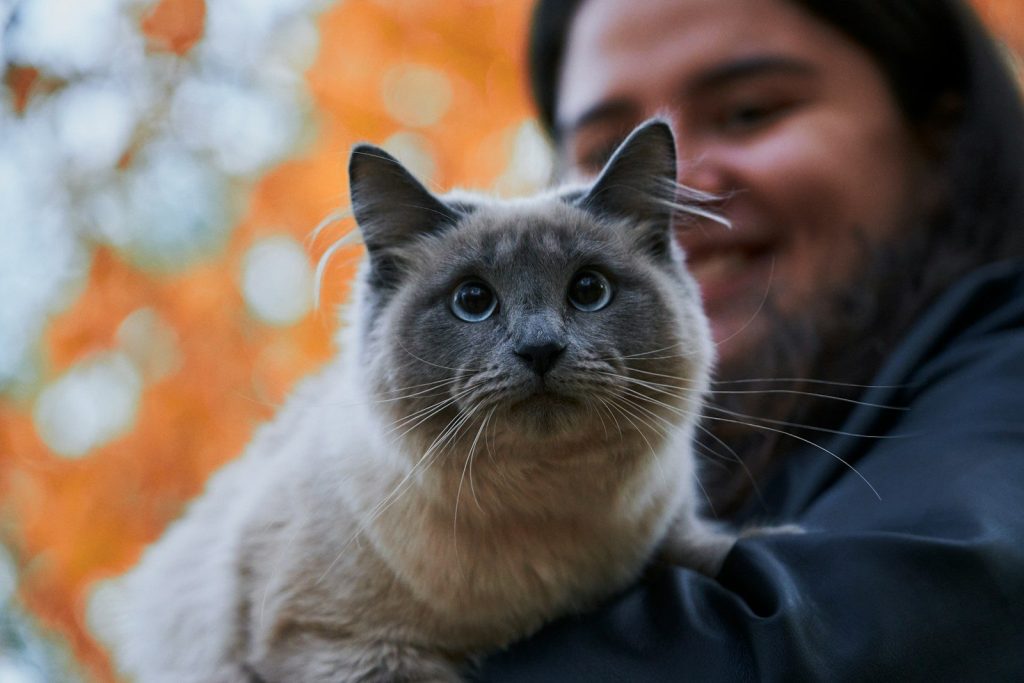 a man holding a cat in his arms