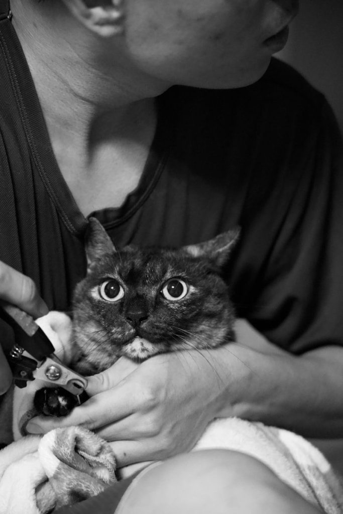 man holding cat