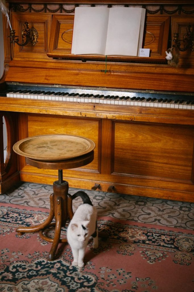 A white cat stands in front of an antique piano.