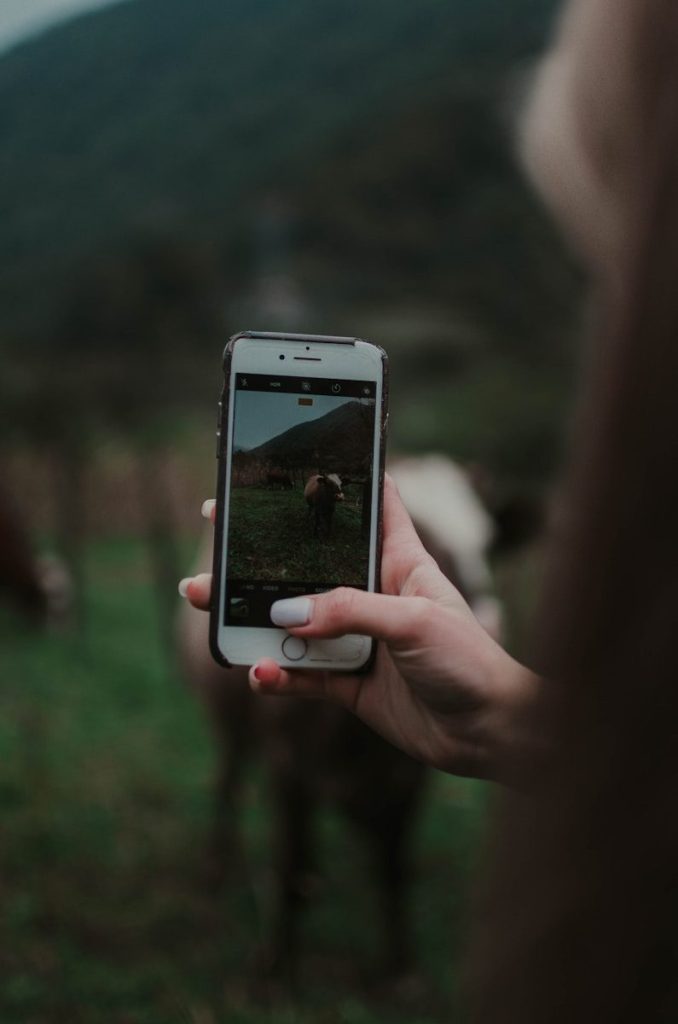 person holding silver iphone 6