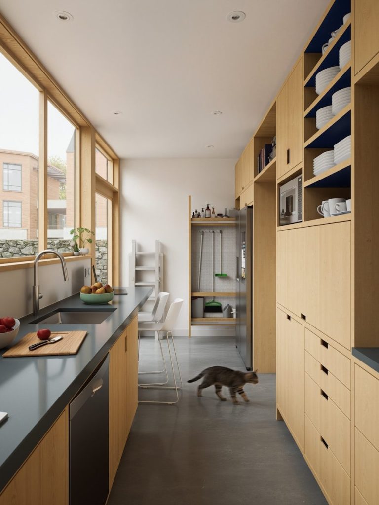 Modern kitchen with light wood cabinets, windows, and a cat.