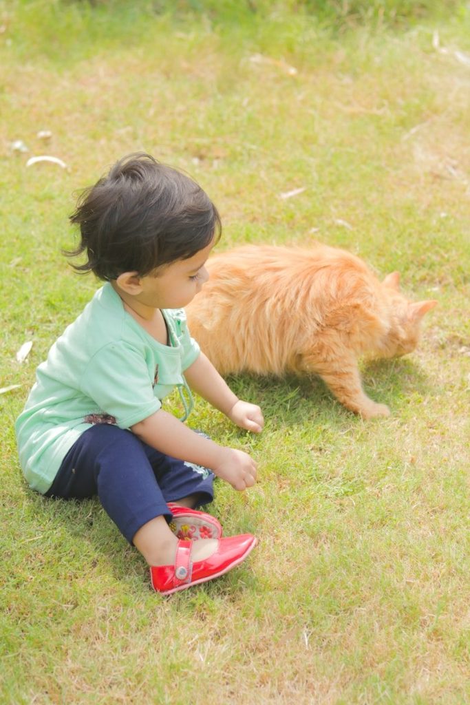 a little girl playing with a cat in the grass