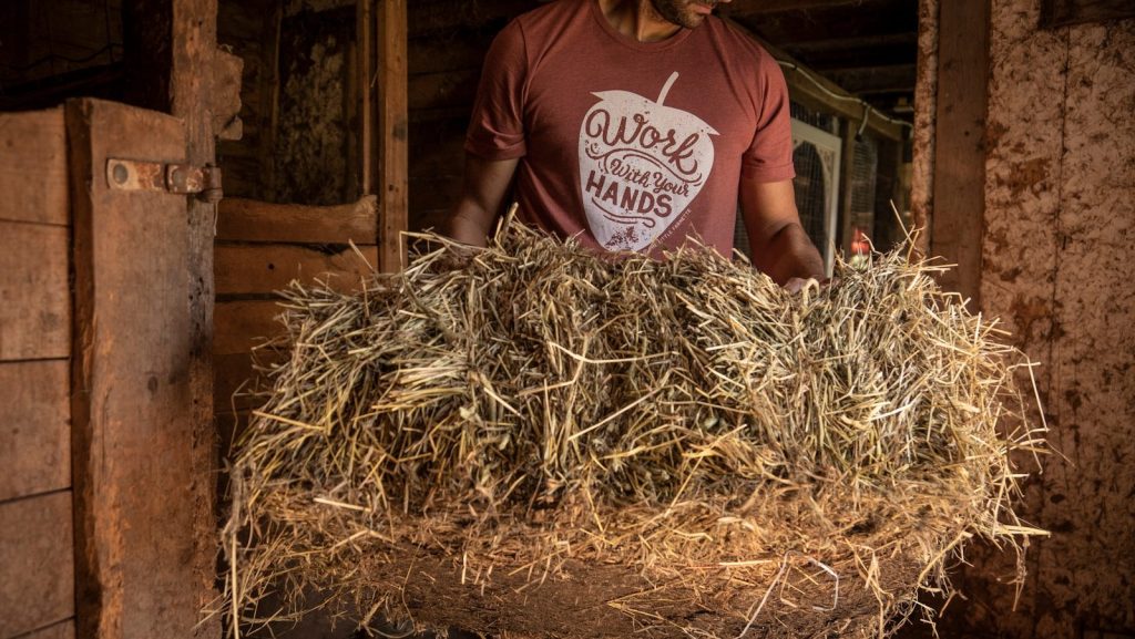 Man carries a big load of hay.