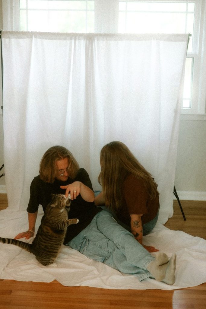 A cat plays with people by a white backdrop.