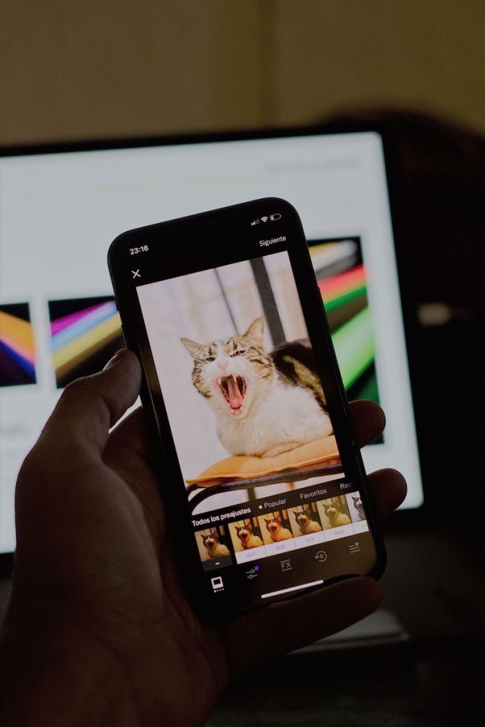 Smartphone held by hand showing a yawning cat image with a blurred monitor background.
