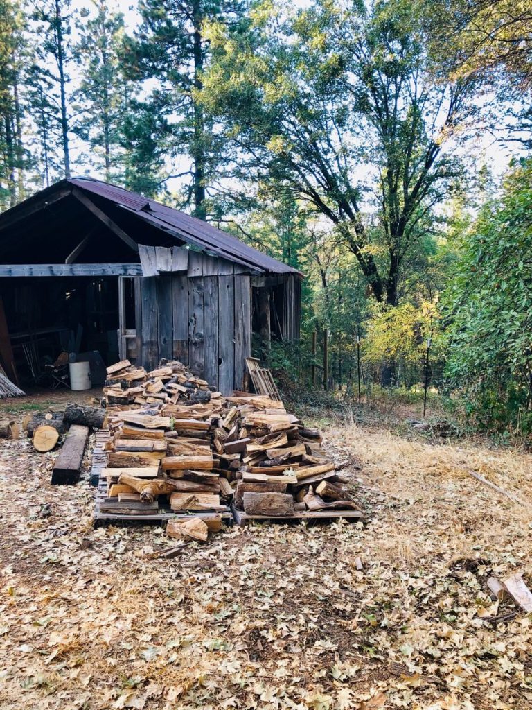 A rustic wooden shelter in a serene forest setting, with stacked logs and surrounding greenery.