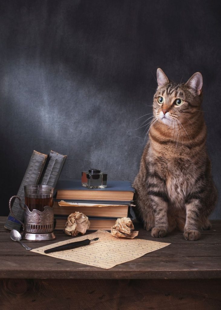 A serene tabby cat sits beside a vintage writing set on a wooden desk.
