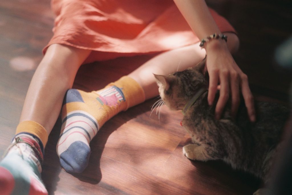 A woman in striped socks sits on a wooden floor, gently petting her tabby cat indoors.