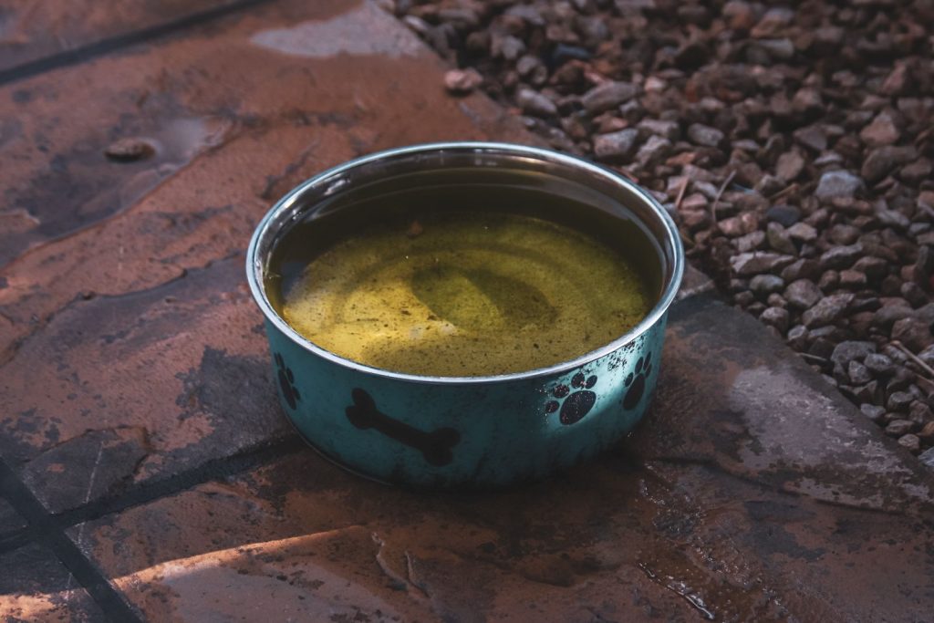 Close-up of a stainless steel dog bowl filled with water on stone pavement, outdoors.