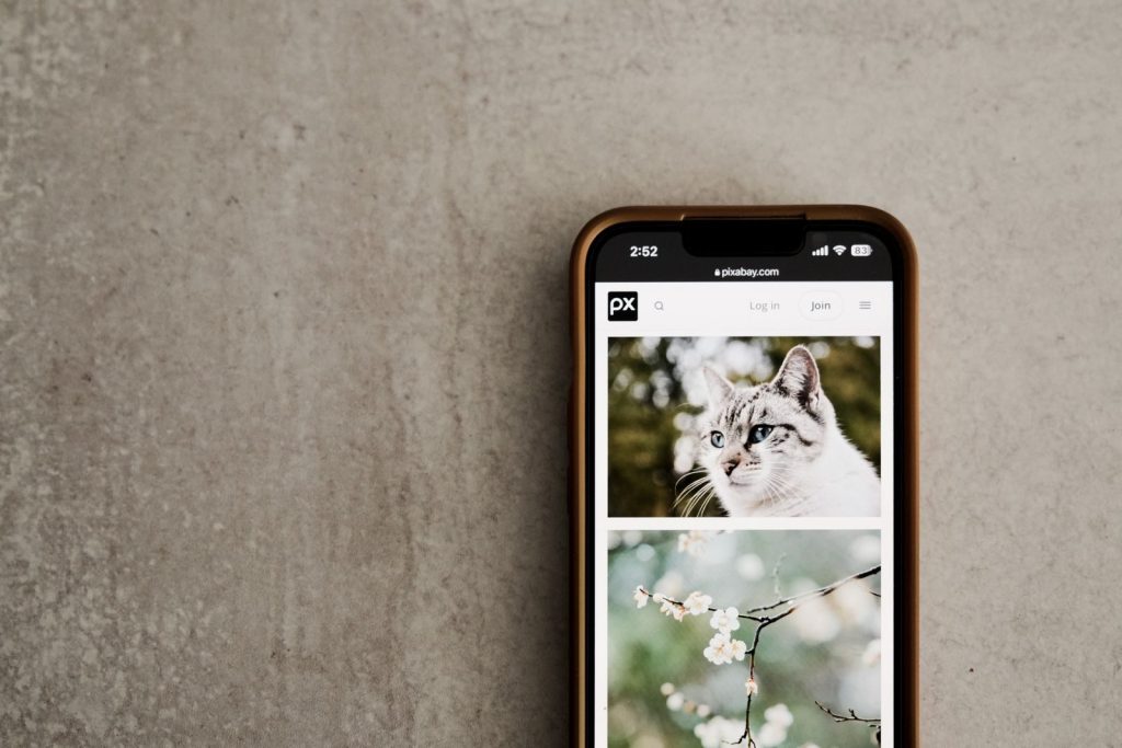 Mobile phone on a gray surface showing cat and flower images on screen.