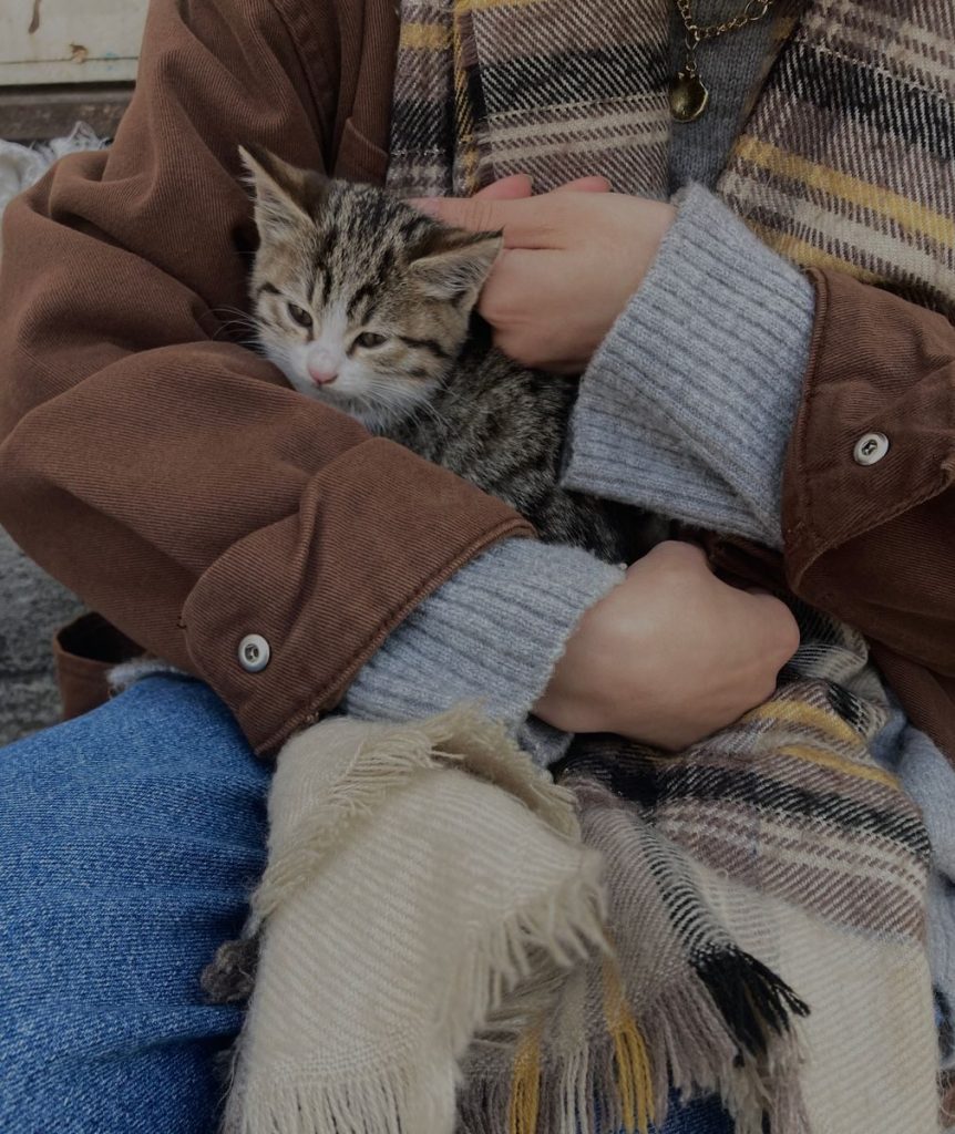 Person cuddling a kitten in a warm autumn outfit, showcasing comfort and softness.