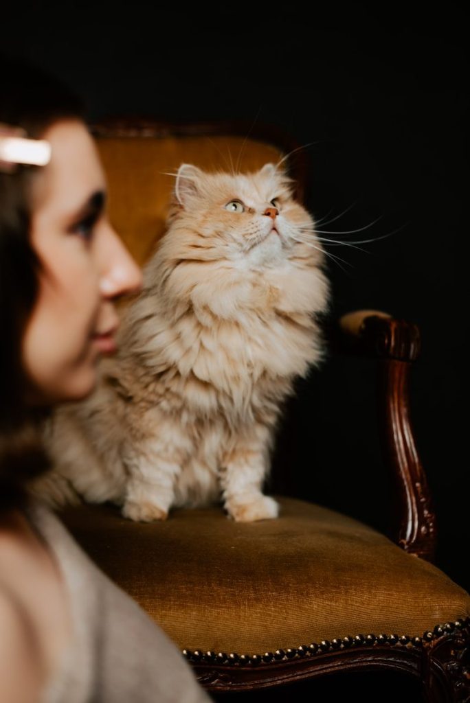 a woman sitting in a chair looking at a cat