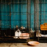 Black and white cat lying down in a metal cage behind bars with an orange water dispenser nearby.