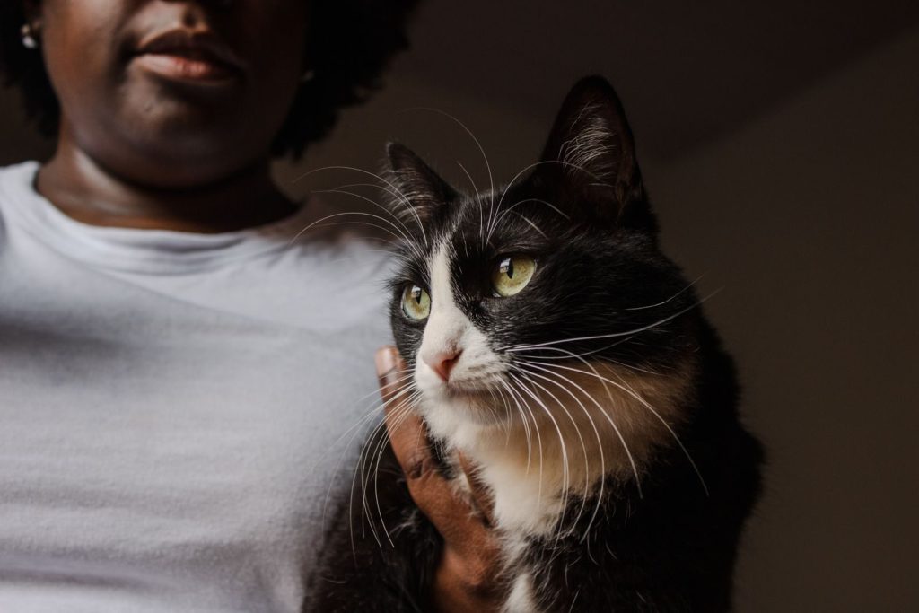 A close-up portrait of a woman gently holding a black and white cat indoors.