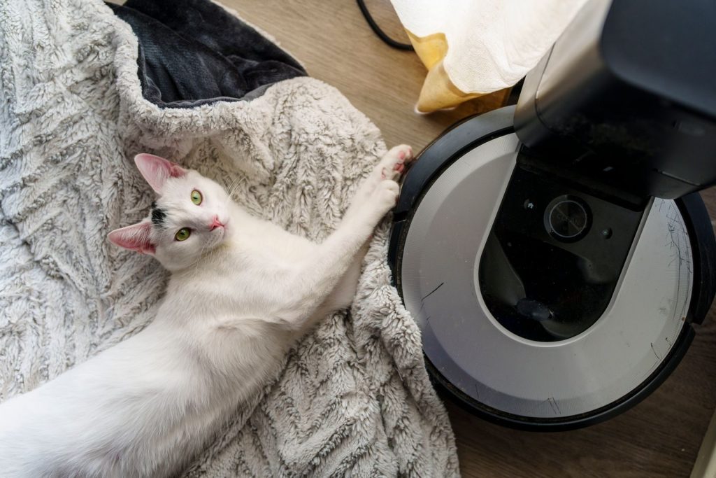Adorable white cat playing near a robotic vacuum on a cozy blanket indoors.