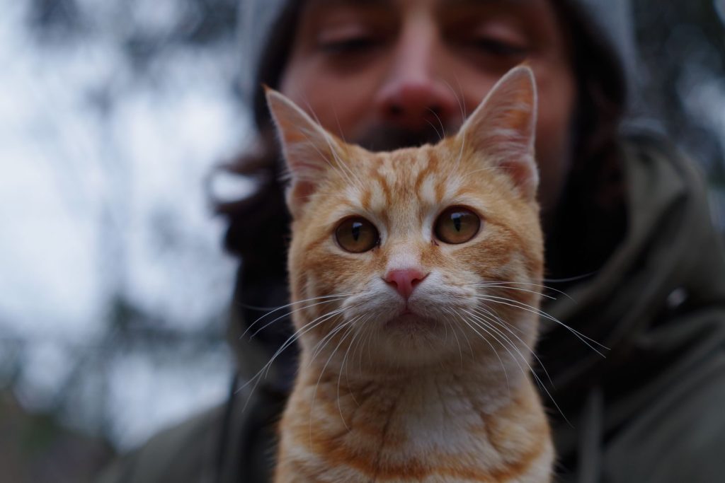Ginger tabby cat in focus with a bearded man outdoors, blurred background.