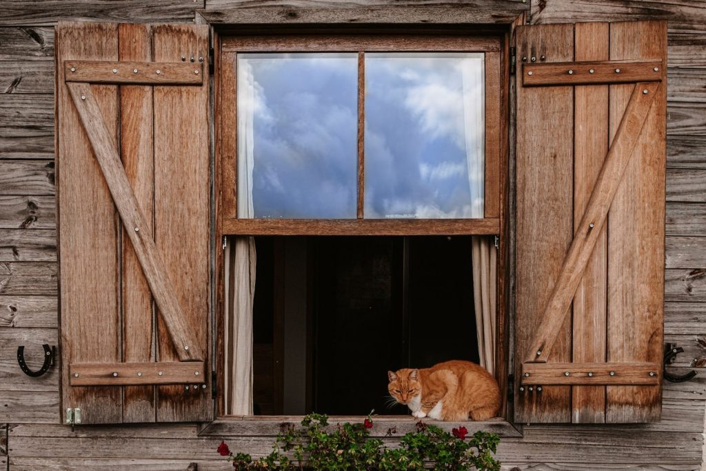 A ginger cat relaxes on a wooden window ledge of a rustic house under a clear sky.