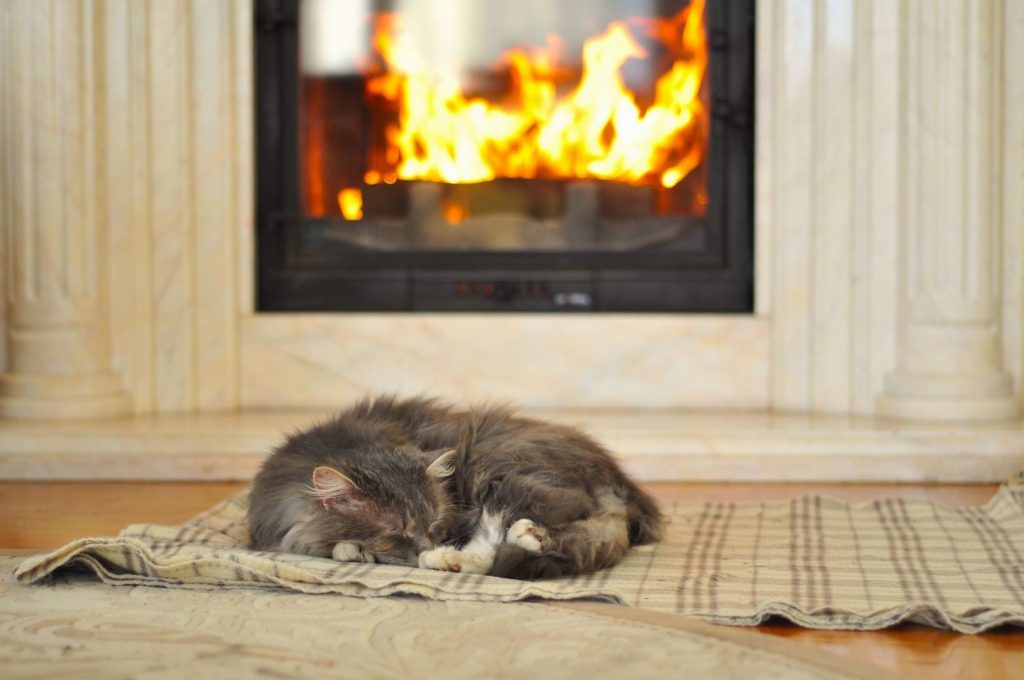Fluffy grey cat peacefully napping by a warm, glowing fireplace, capturing a scene of ultimate comfort and relaxation.
