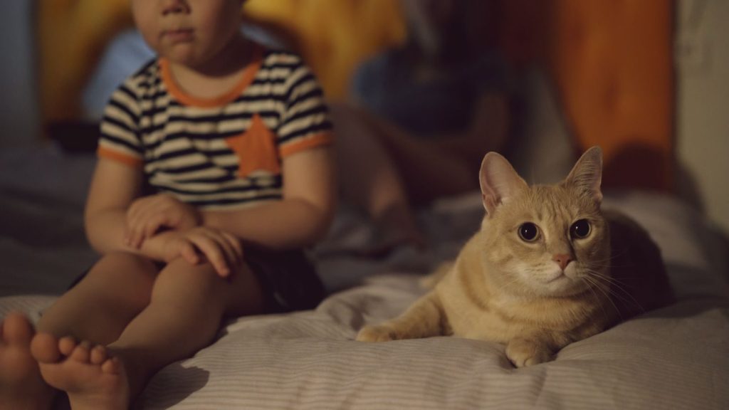 A young boy and an orange tabby cat relaxing on a bed in a cozy room.