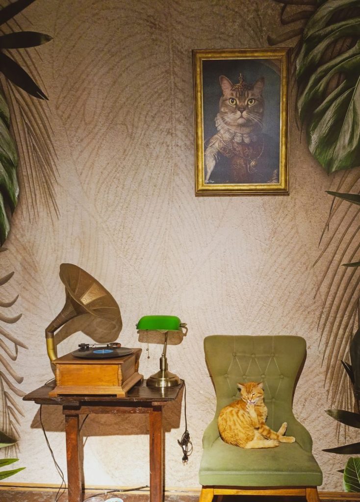 A vintage room featuring a gramophone, green chair with a cat, and cat portrait painting.