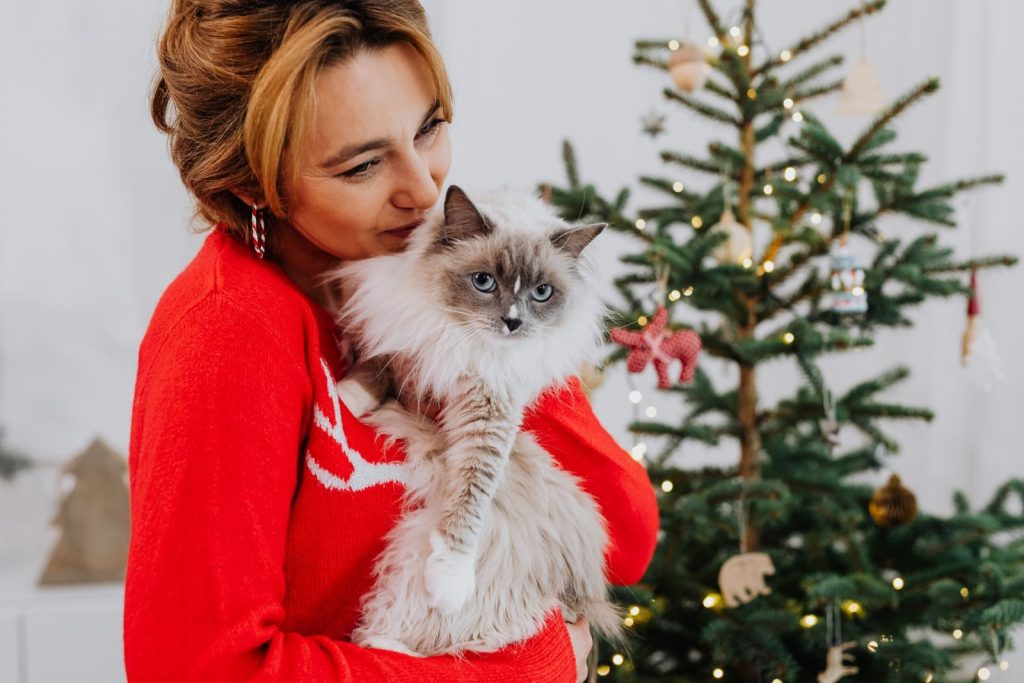 A woman in a red sweater cuddling her fluffy cat near a decorated Christmas tree.