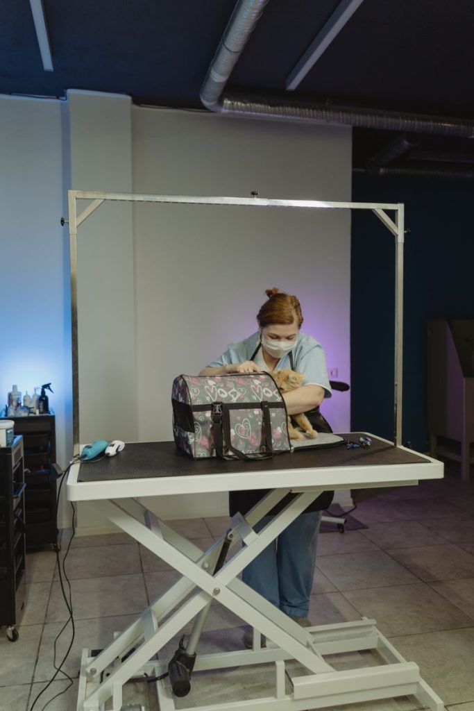 A professional groomer trimming a cat's fur at a pet salon indoors.