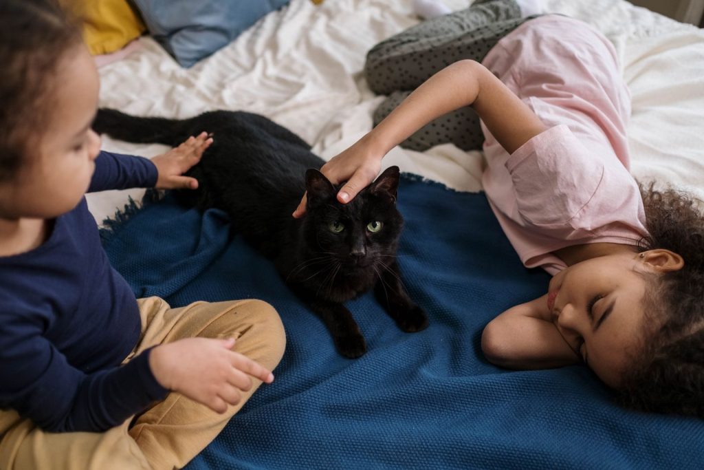 Two children playing with a black cat on a cozy bed, indoors.