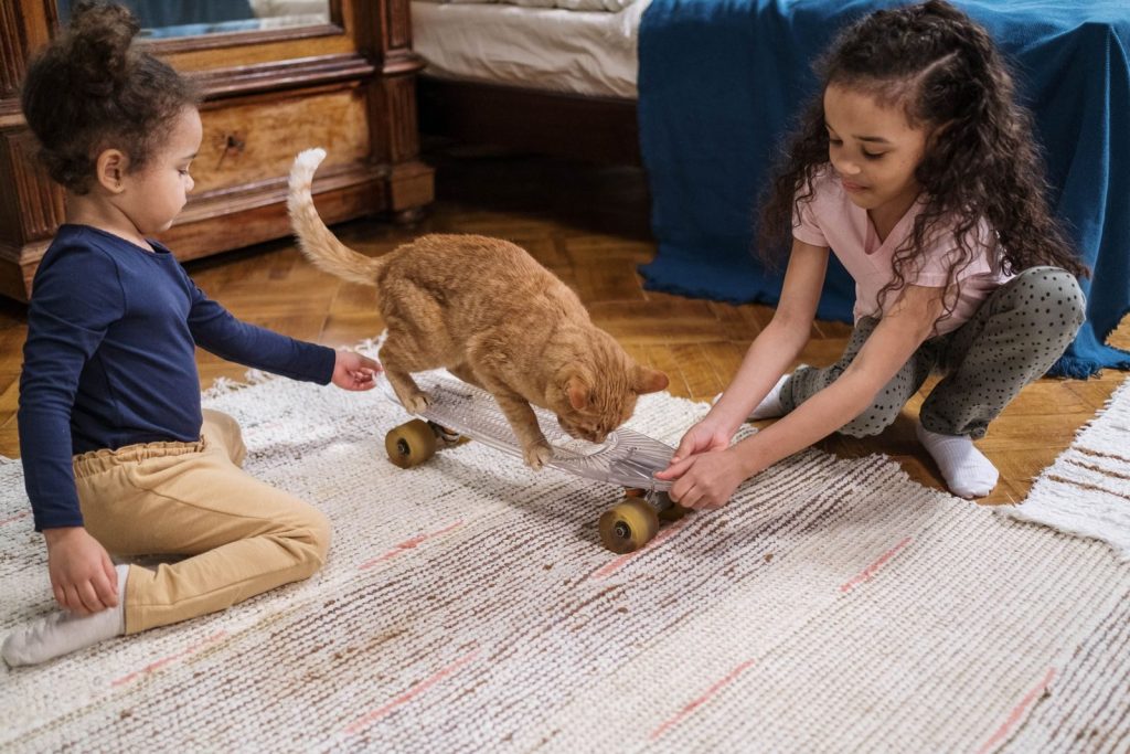 Two children and a ginger cat having fun with a skateboard in a cozy indoor setting.