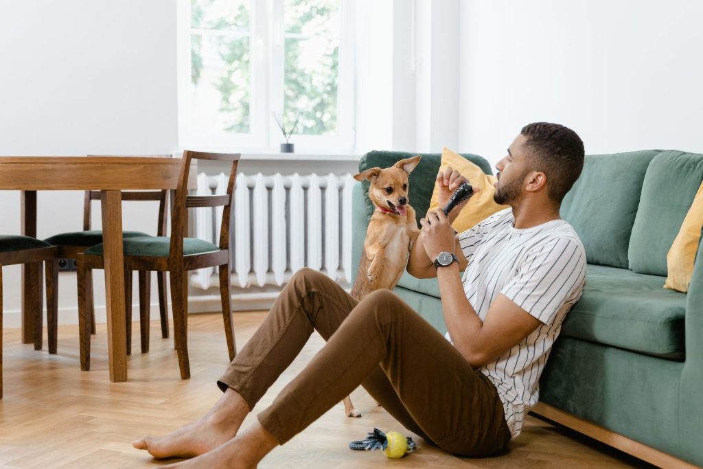 Young man playing with his small dog in a cozy living room setting. Indoor lifestyle moment.