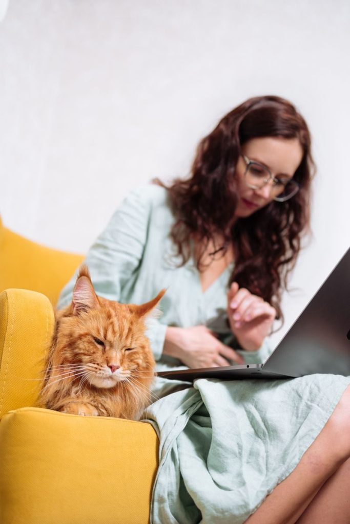 A woman using a laptop with a relaxed cat beside her on a couch in a cozy home setting.