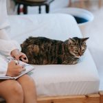 A cozy indoor scene of a tabby cat resting on a bed as a person sketches nearby.