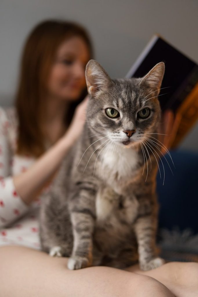A cat sits with its human reading a book.