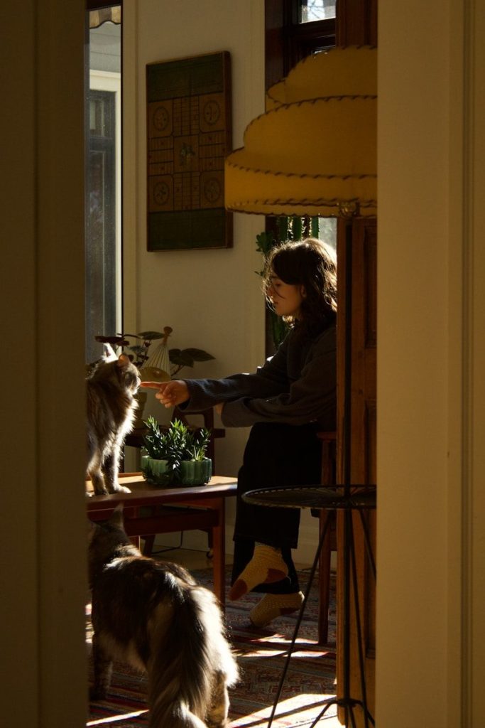 A woman sitting at a table with a cat and dog