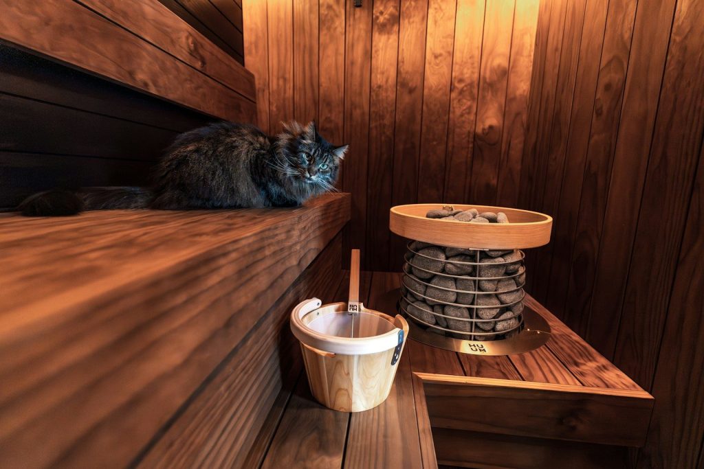 A fluffy cat relaxes on a wooden sauna bench.