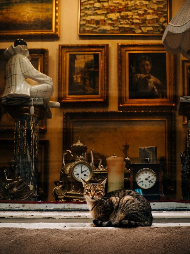 a cat sitting in front of a clock
