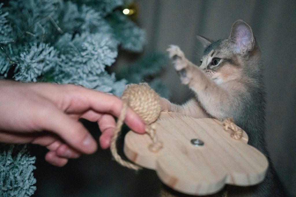 Kitten plays with a toy mouse near a christmas tree.