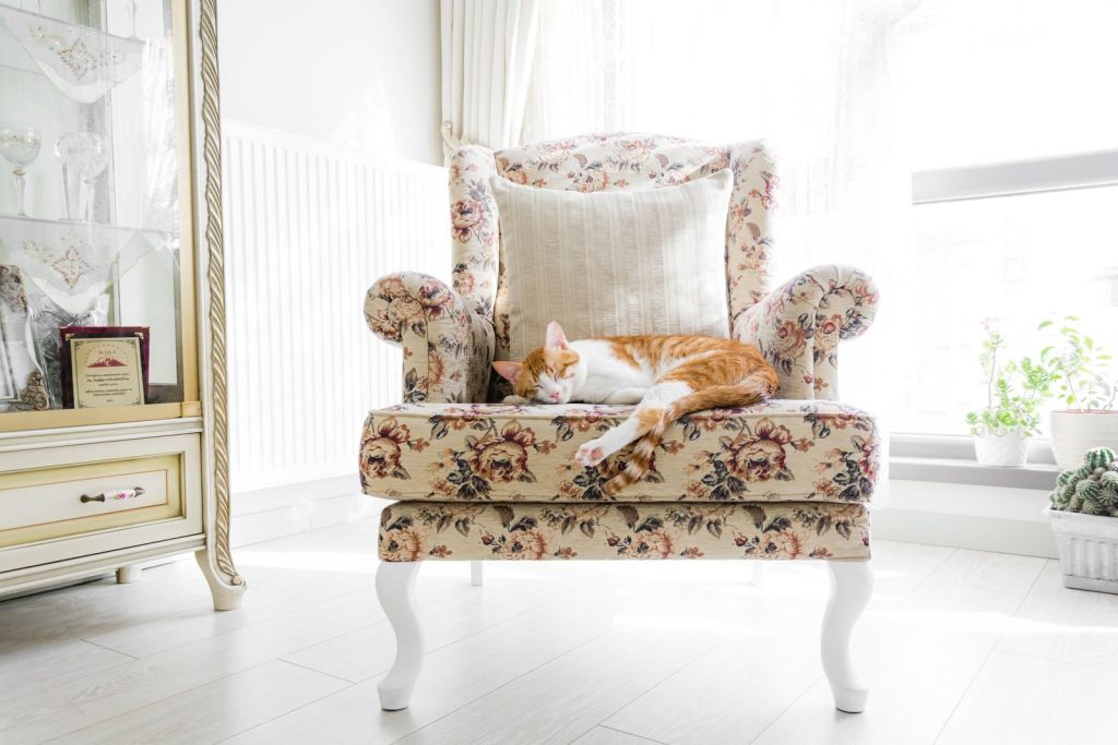 A ginger cat peacefully sleeping on a floral armchair in a bright and cozy indoor setting.