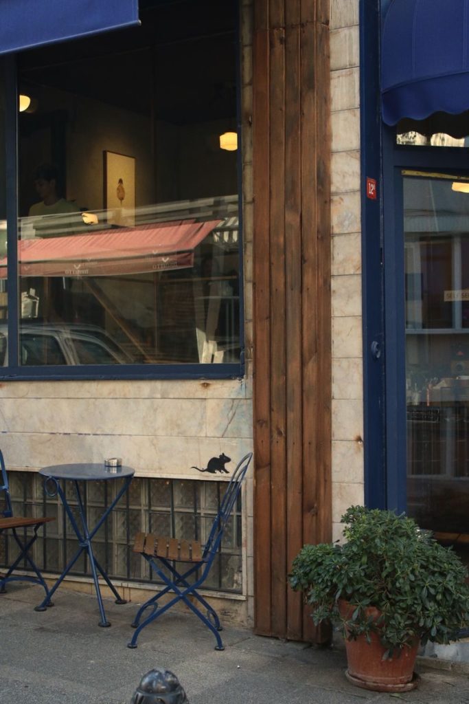 Cozy outdoor café setting featuring blue chairs and tables, and artistic rat graffiti on wall.