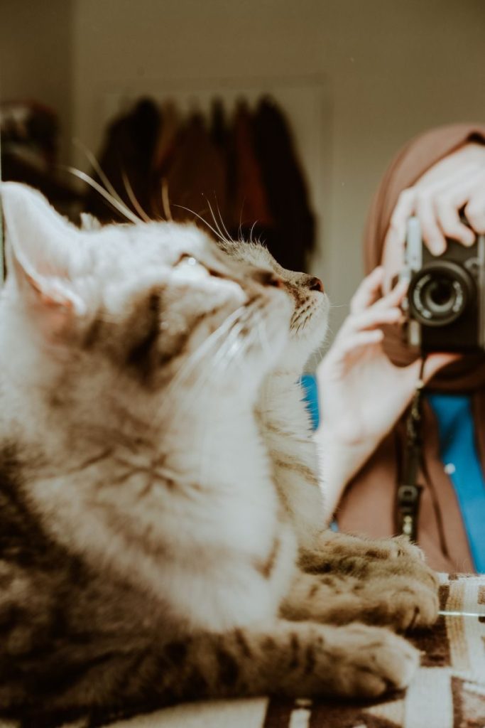 A cat's reflection captured in a mirror as a woman photographs it.