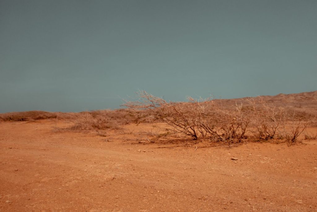 Arid desert terrain with sparse vegetation and a clear sky, showcasing a dry environment.