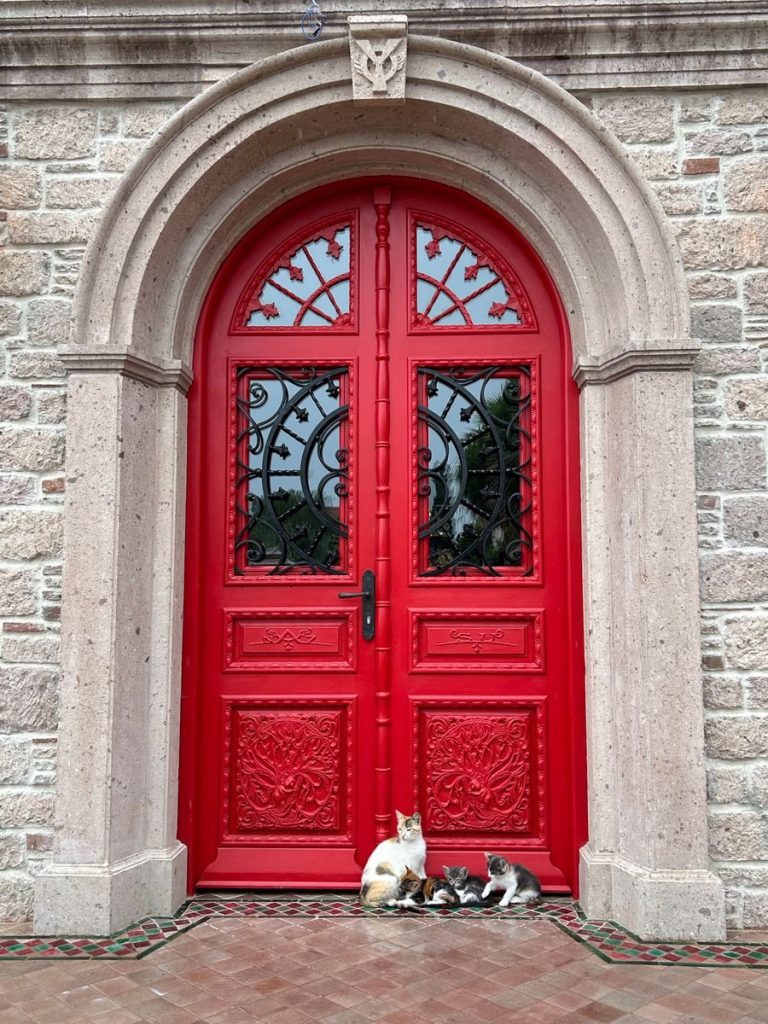 Red arched doorway with intricate design and kittens resting in front.