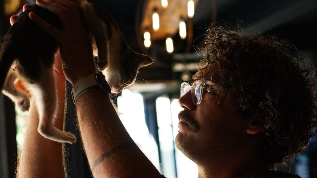 A man wearing glasses holds a kitten up, creating a warm and intimate moment indoors.