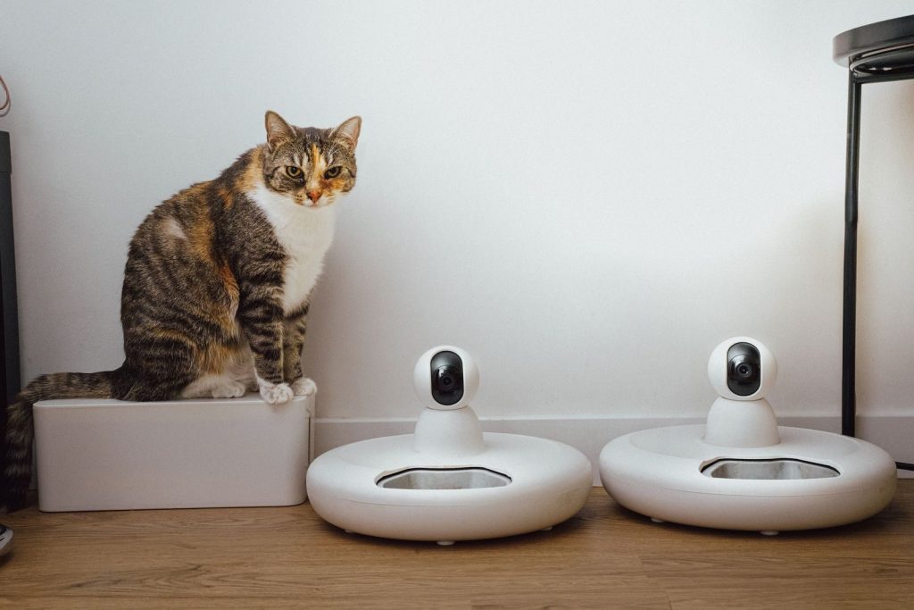 A domestic cat sits near smart home security cameras in a modern indoor setting.