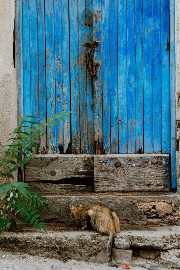 A rustic blue wooden doorway with a stray cat adds a charming touch to this vintage scene.