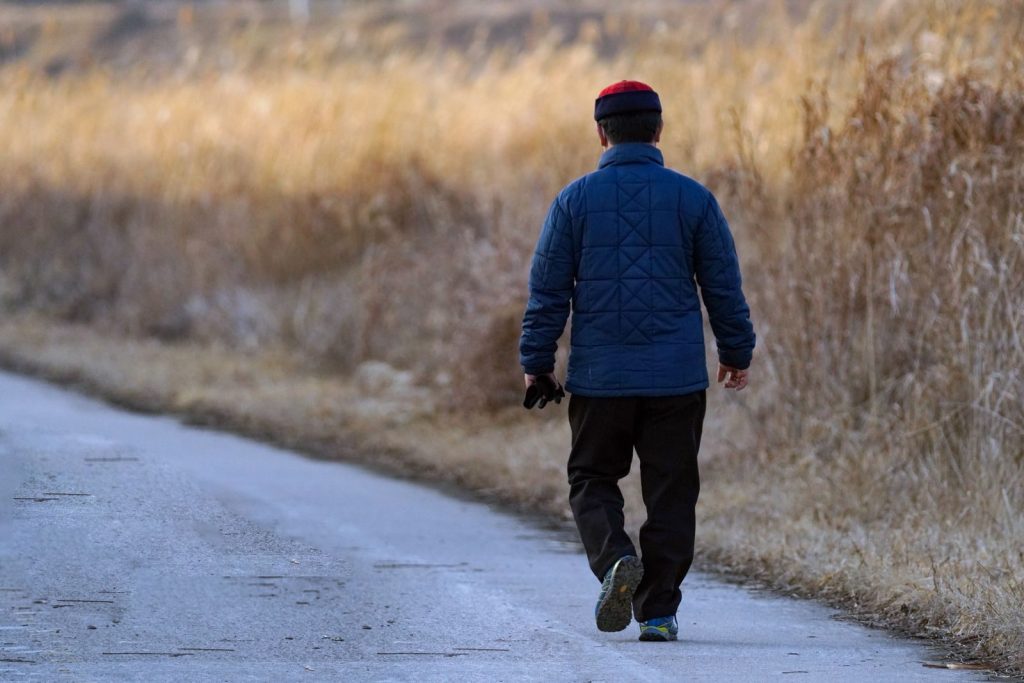 A person walks alone on a rural road in winter, surrounded by dry grass.